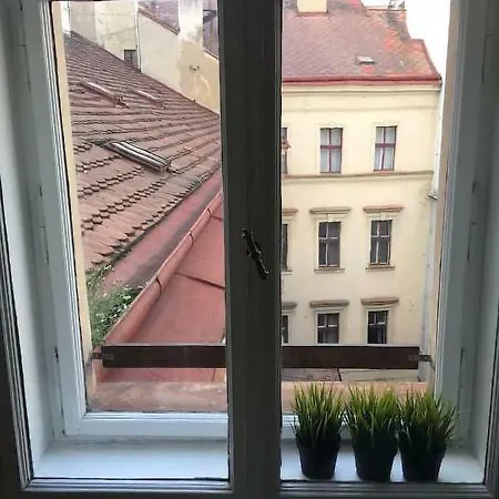 Apartment Hybernska 22